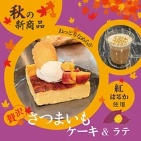 画像433